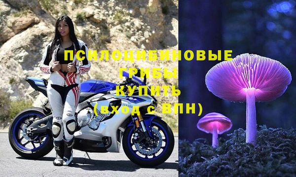 2c-b Горнозаводск