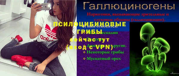 spice Горно-Алтайск
