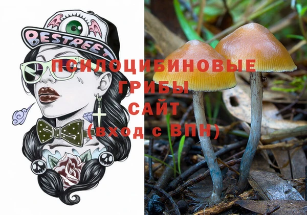 альфа пвп Горняк