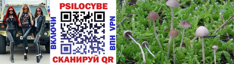 Псилоцибиновые грибы Cubensis  OMG ТОР  Воронеж  хочу  
